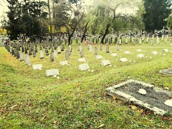 Panoramic view of cemetery