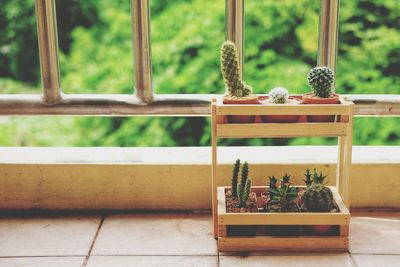 Close-up of potted plants on table