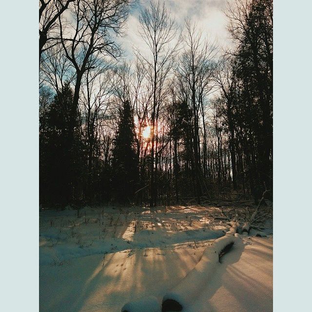 tree, bare tree, transfer print, road, snow, transportation, auto post production filter, winter, sky, sunset, nature, sunlight, cold temperature, tranquility, branch, silhouette, tranquil scene, car, no people, street