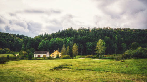 Trees on field against sky