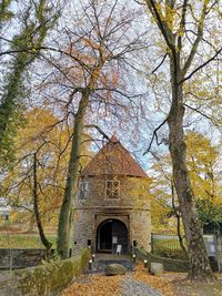 Low angle view of trees and building during autumn