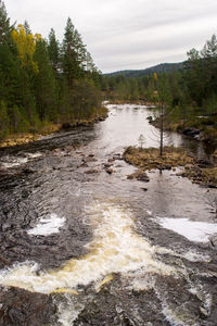 Scenic view of river in forest against sky