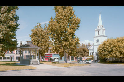 Trees and buildings against sky