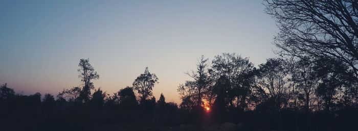 Silhouette trees against clear sky during sunset