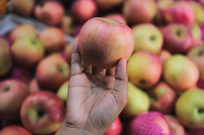 Close-up of hand holding apple