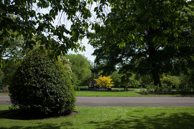 Trees in park