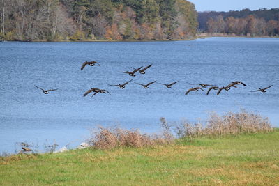 Scenic view of lake