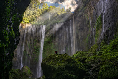 Scenic view of waterfall in forest