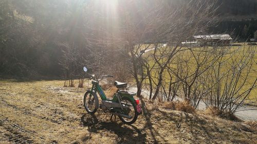 Man cycling on bare tree