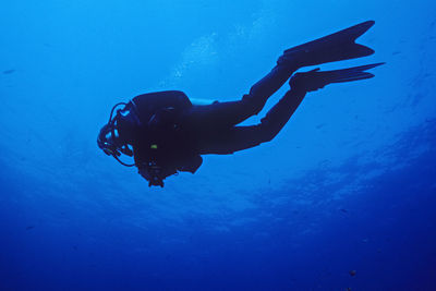 Silhouette of dive with a camera underwater in the channel islands