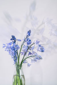 Close-up of flower vase against blue sky