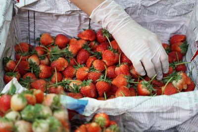 Cropped image of woman holding strawberry in basket