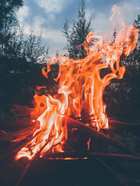 Bonfire against sky at forest