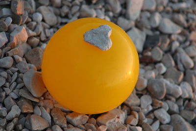 Close-up of yellow slices on rock