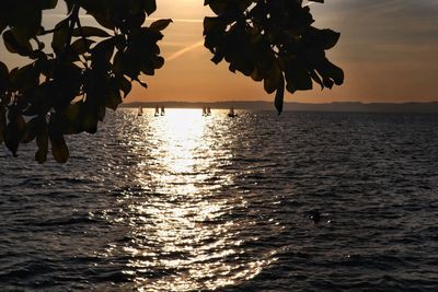 Silhouette tree by sea against sky during sunset