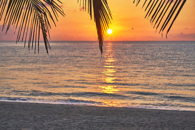 Scenic view of sea during sunset