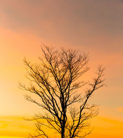 Low angle view of silhouette bare tree against sky during sunset