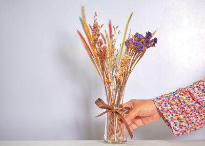 Close-up of hand holding plant