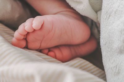 Low section of baby feet on bed