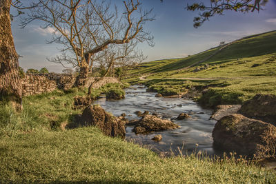 Malham cove