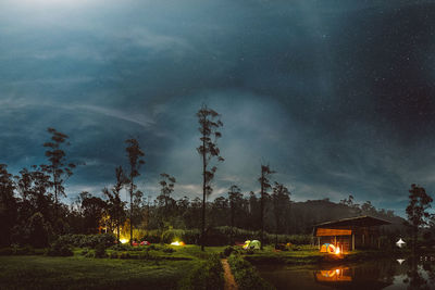 Trees on field at night