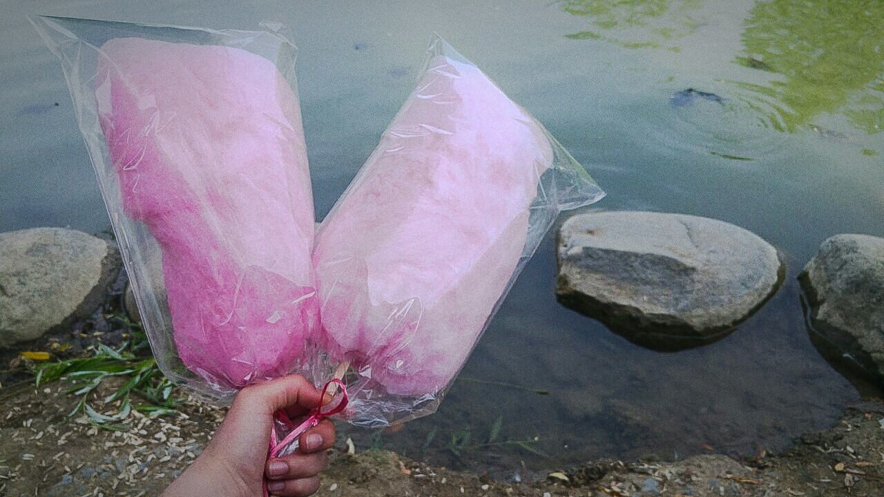 LOW SECTION OF WOMAN WITH PINK PETALS