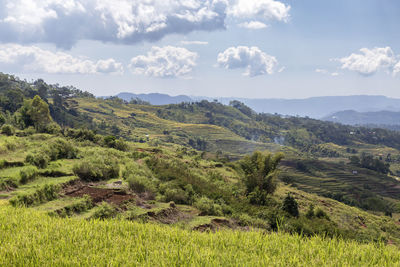 Scenic view of landscape against sky