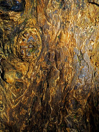 Full frame shot of abstract background