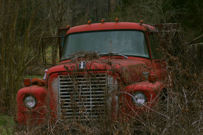 Abandoned red truck amidst bare trees on field
