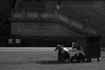 Horse cart on grass