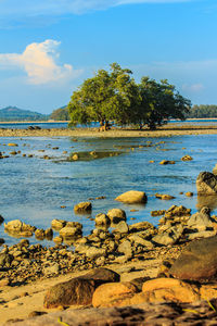 Scenic view of lake against sky