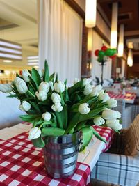 Potted plant on table at home
