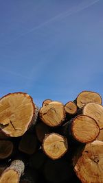 Low angle view of logs against blue sky in forest