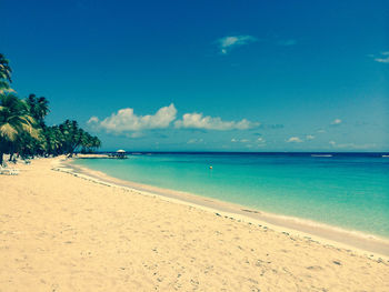 Scenic view of beach against blue sky