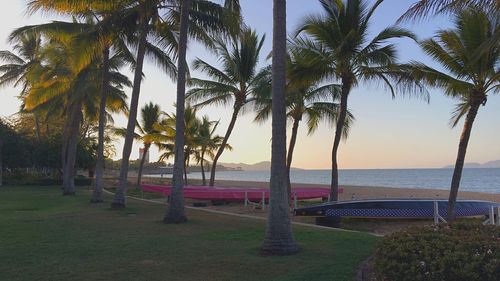 Palm trees on beach against clear sky