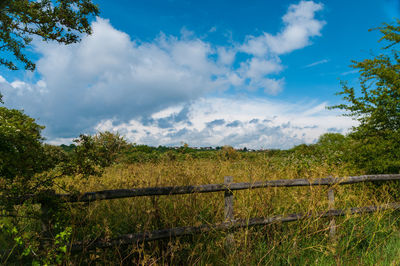 Scenic view of field against sky