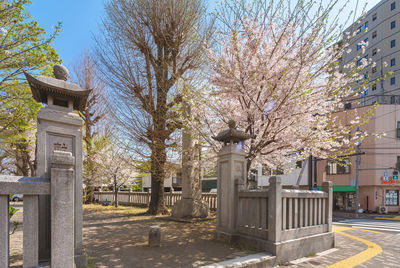 Street amidst trees and buildings against sky