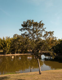 Scenic view of lake by trees against sky