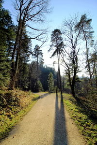 Dirt road amidst trees in forest against sky