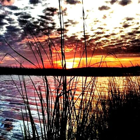 sunset, water, silhouette, sky, sun, tranquility, tranquil scene, scenics, beauty in nature, reflection, lake, orange color, nature, idyllic, plant, cloud - sky, sunlight, sea, cloud, outdoors