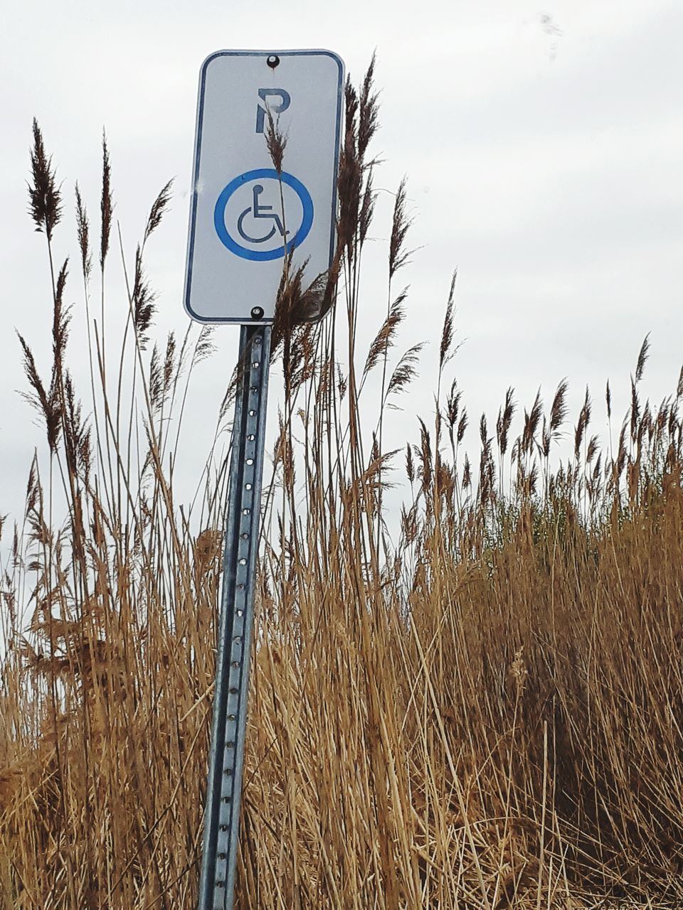 CLOSE-UP OF ROAD SIGN ON FIELD