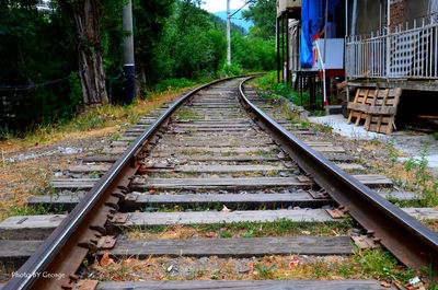 Railroad track amidst trees against sky