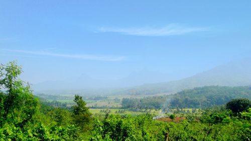 Scenic view of landscape against sky