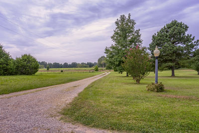 Scenic view of trees on field against sky