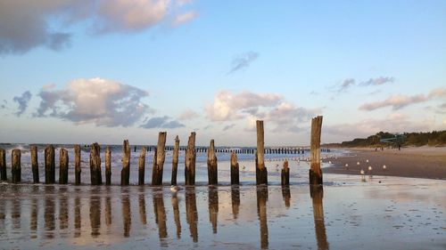 Wooden posts on beach against sky