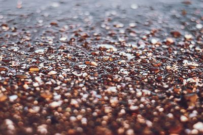 Full frame shot of pebbles on beach