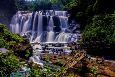 View of waterfall in forest