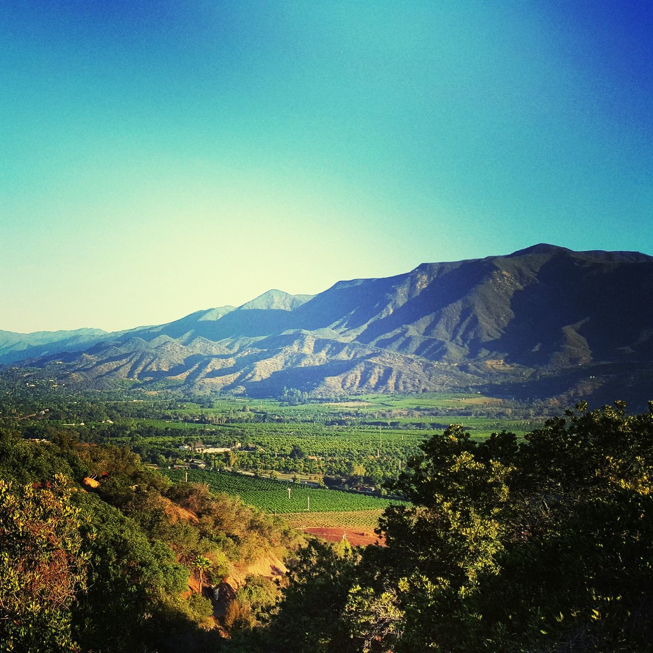 Ojai Valley Lookout