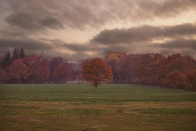 Trees on field against sky during autumn