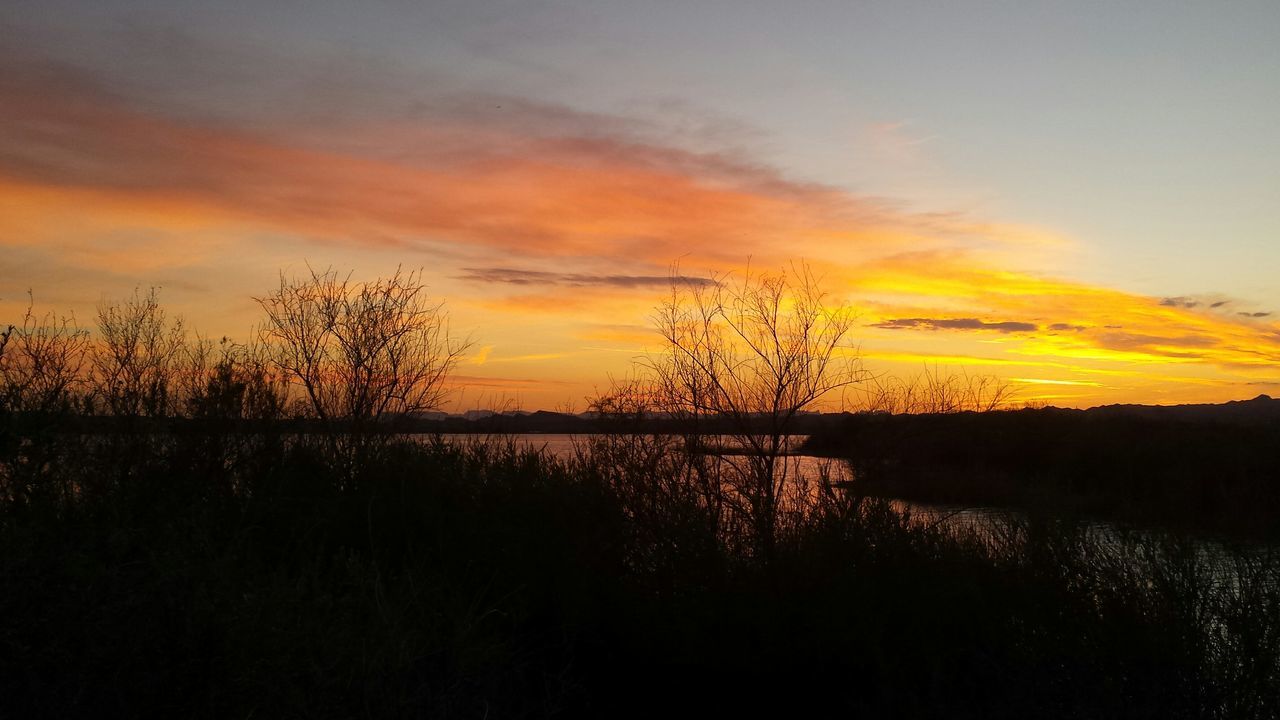 sunset, tranquil scene, tranquility, scenics, sky, beauty in nature, silhouette, nature, landscape, orange color, idyllic, cloud - sky, water, field, plant, tree, cloud, growth, lake, outdoors